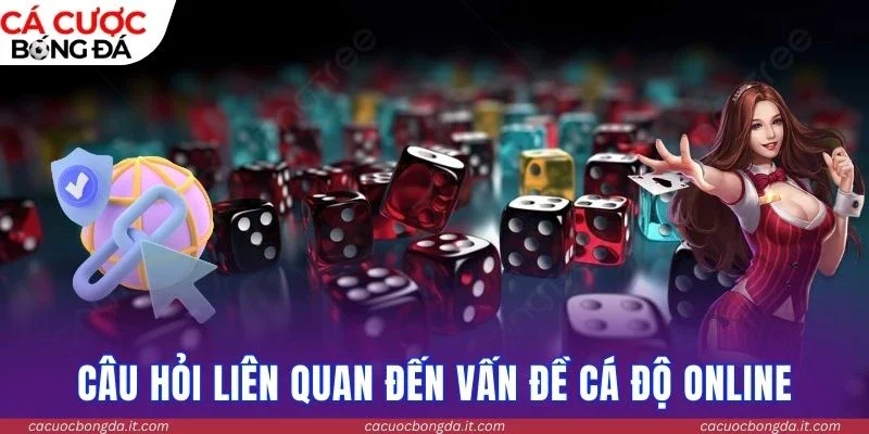 Câu hỏi liên quan đến vấn đề cá độ online
