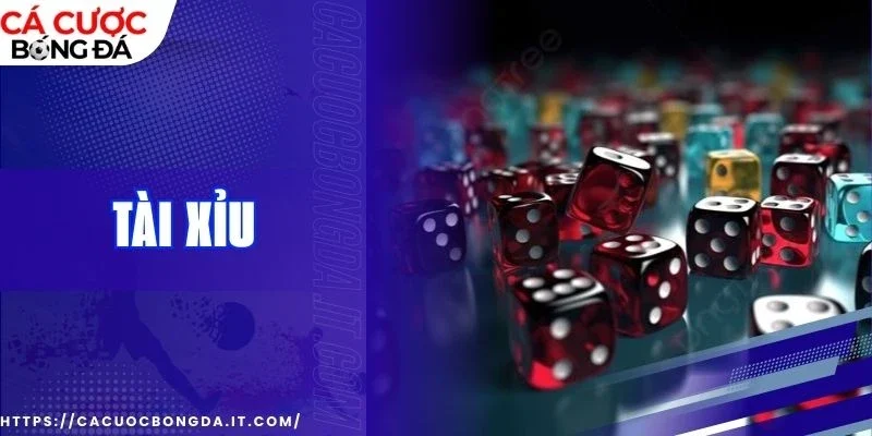 Trò chơi cược tống xúc xắc cực thú vị