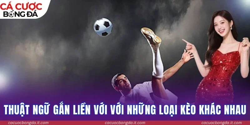 Thuật ngữ gắn liền với với những loại kèo khác nhau