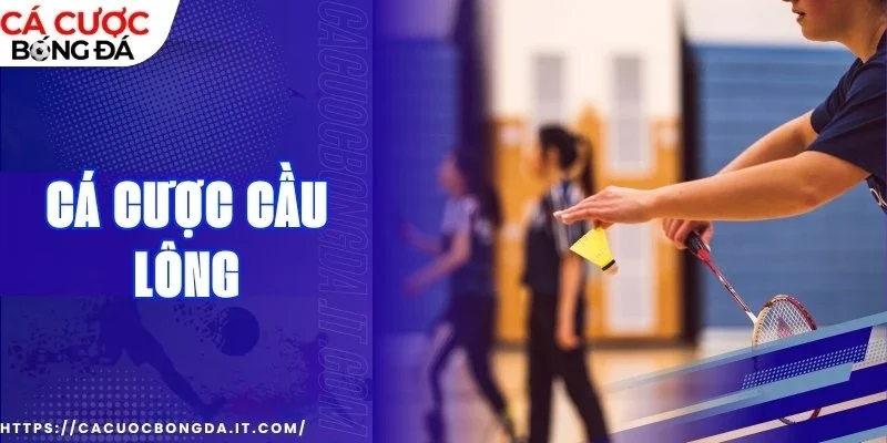 Thành thạo cách chơi hiệu quả và chinh phục mọi trận đấu
