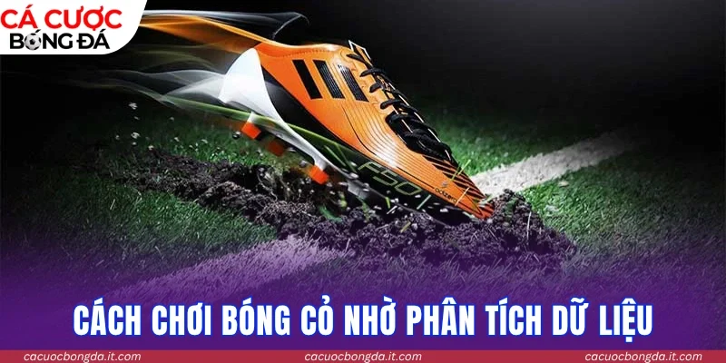 Cách chơi bóng cỏ thắng lớn nhờ phân tích dữ liệu