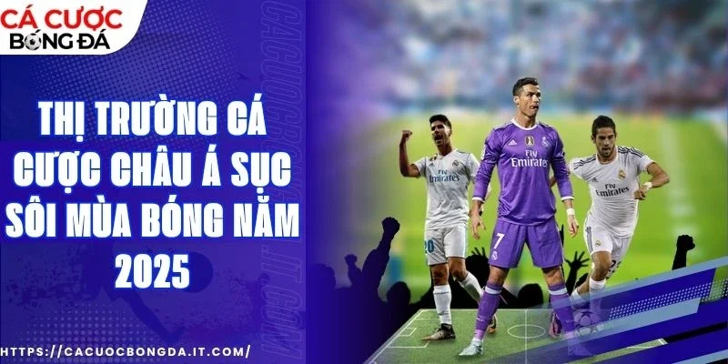Điểm qua các giải đấu để tham gia cá cược trong 2026