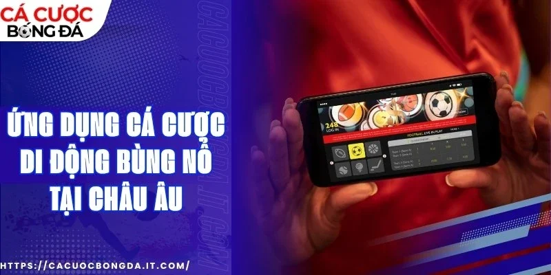 Ưu điểm then chốt của ứng dụng cá cược